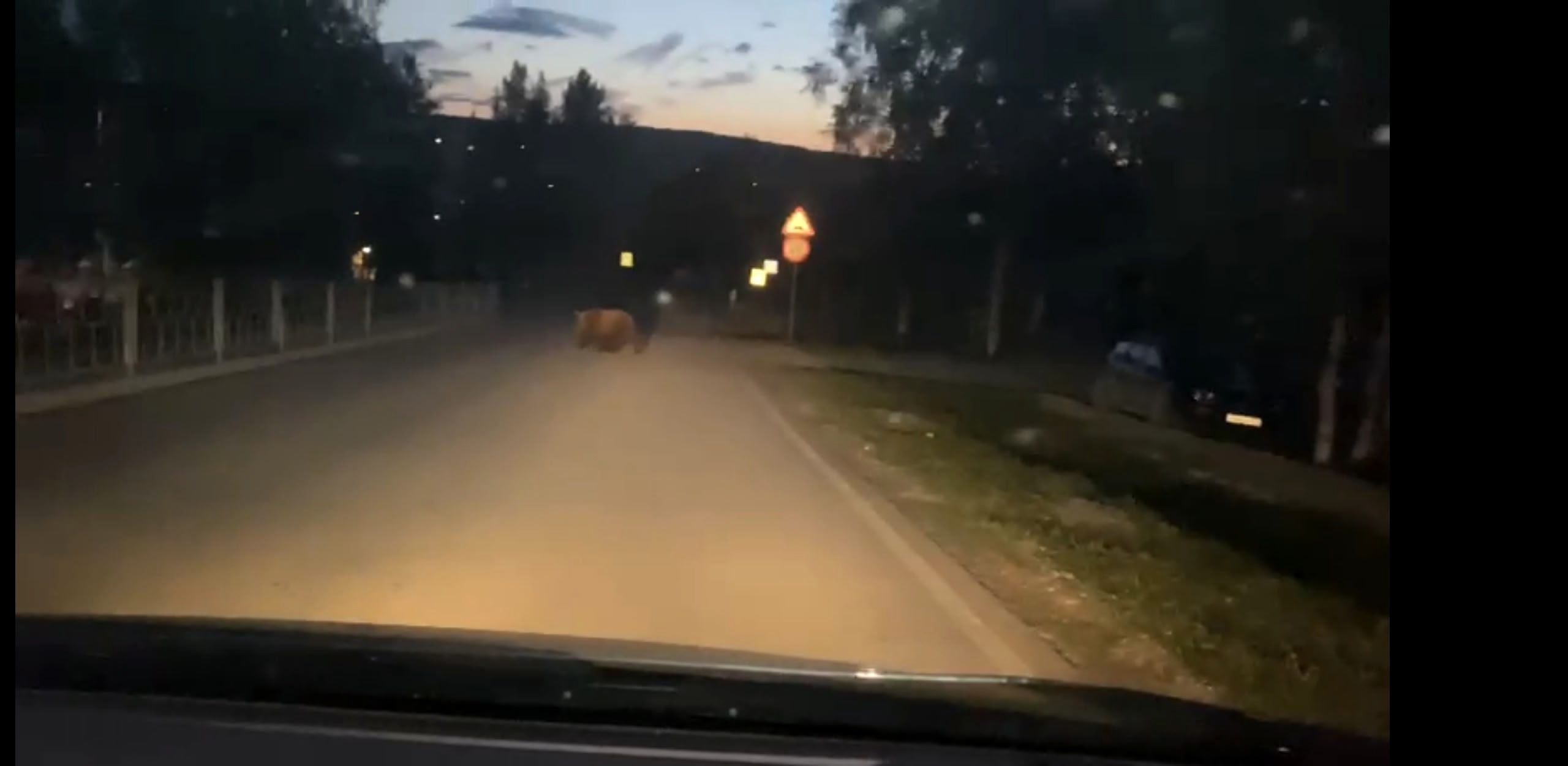 В связи с участившимися случаями выходов медведей к населенным пунктам, просим обратить внимание на данную информацию.