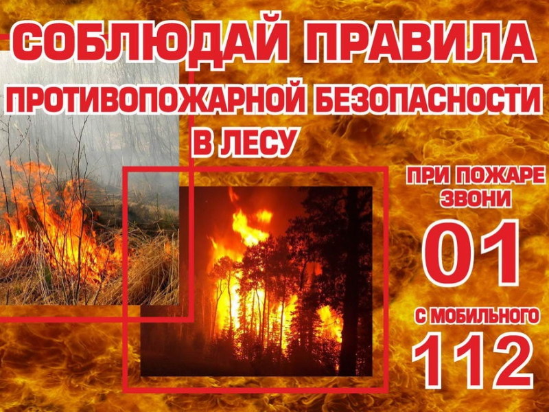 Правила пожарной безопасности у открытого огня.
