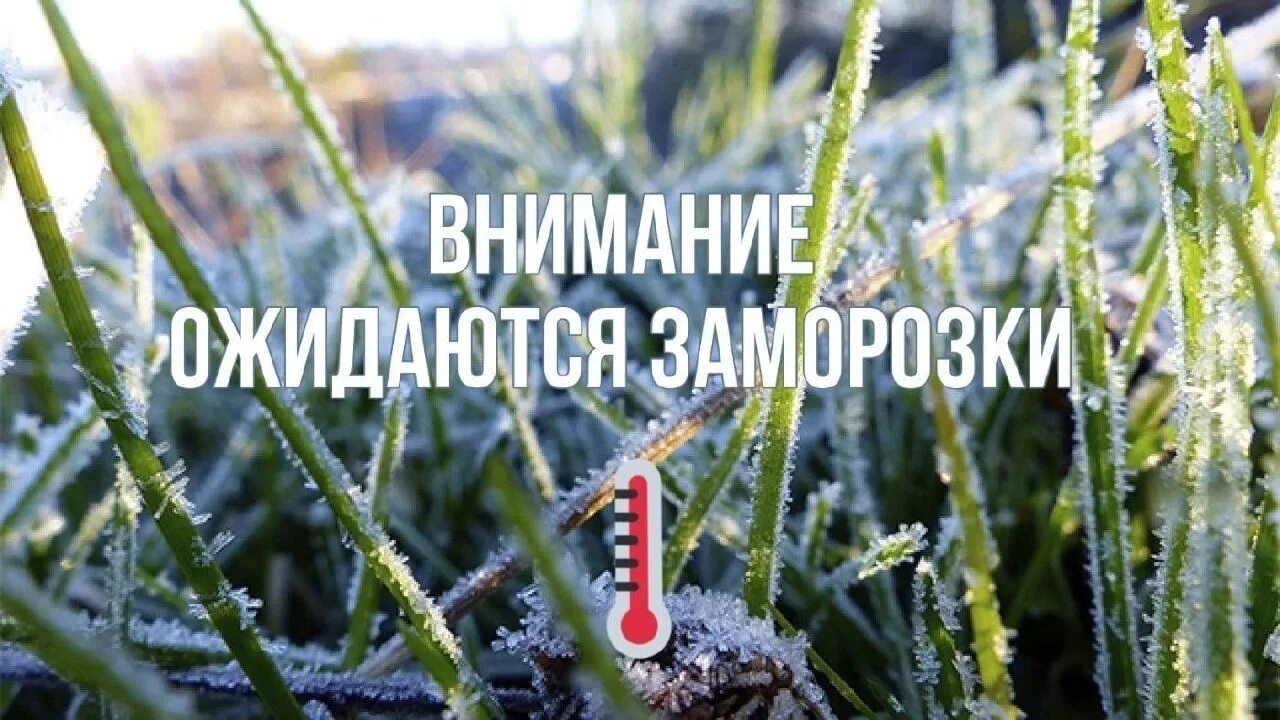 Экстренное метео предупреждение с 23.07.2025 по 24.07.2025.