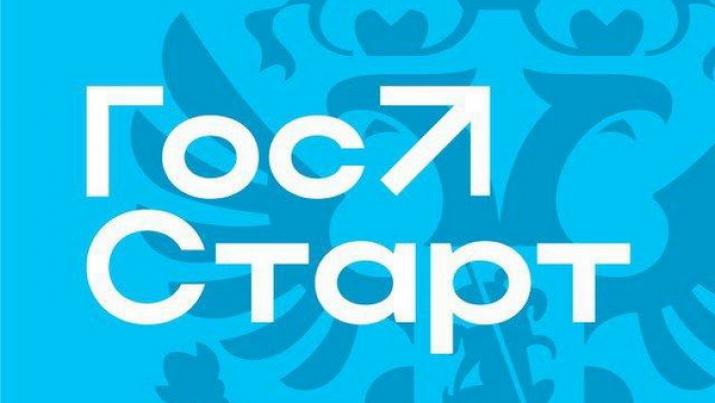 Федеральный проект «ГосСтарт». Федеральный проект «ГосСтарт».