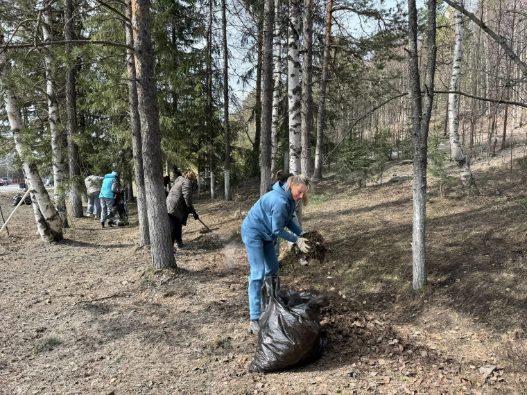 Пора благоустройства и наведения порядка. Пора благоустройства и наведения порядка.
